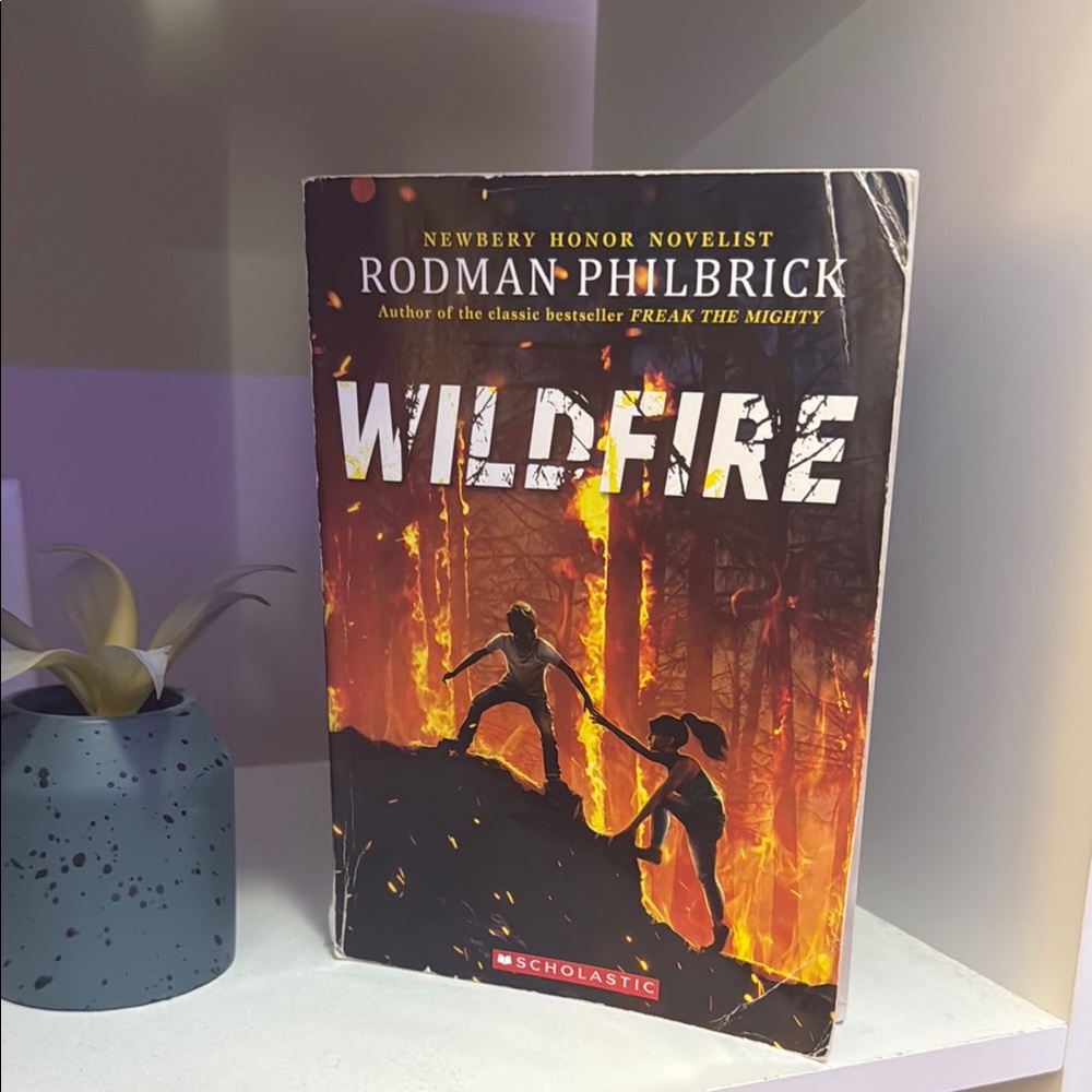 Scholastic Wildfire Paperback - Fiery Orange and Black Cover